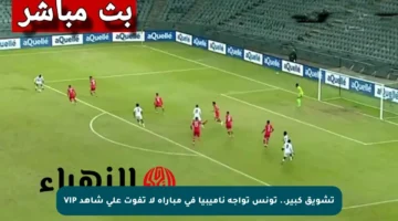 تشويق كبير.. تونس تواجه ناميبيا في مباراة لا تفوت على شاهد VIP